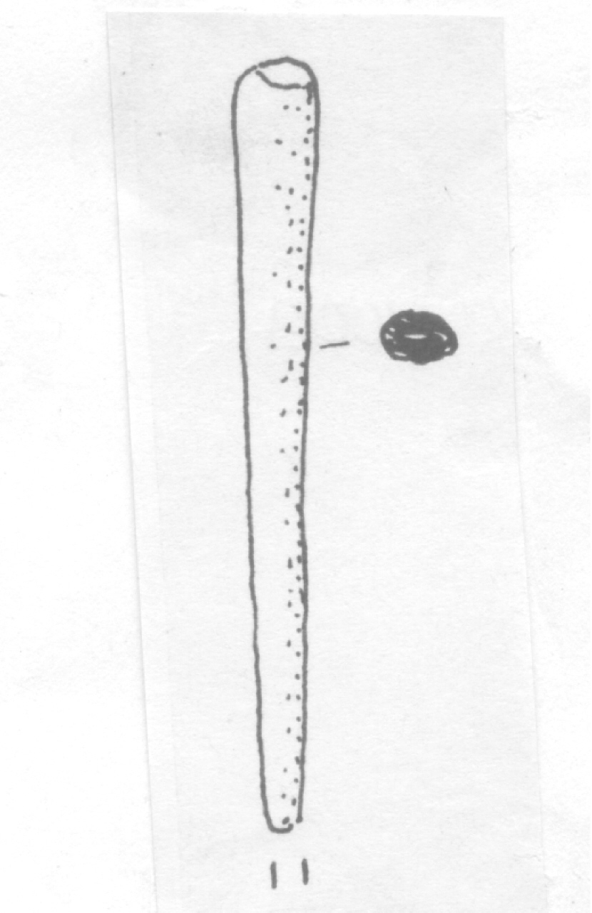 punteruolo - Facies Terramara (Età del bronzo)