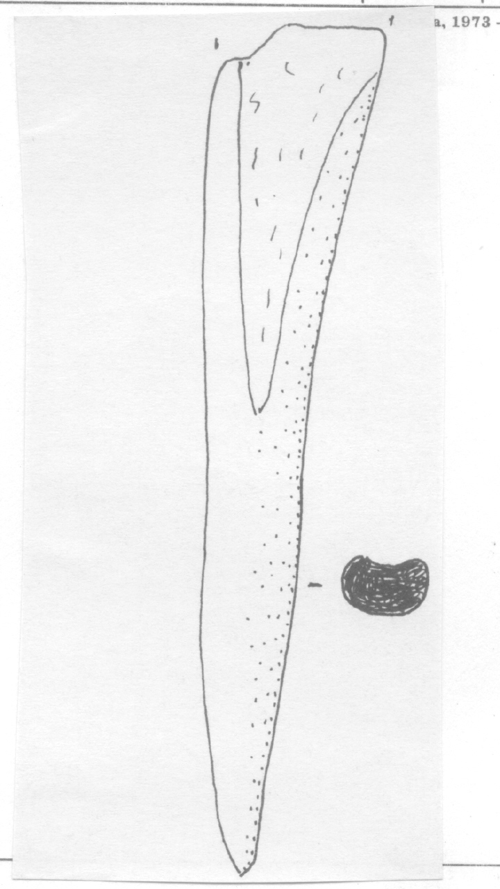 punteruolo - Facies Terramara (Età del bronzo)