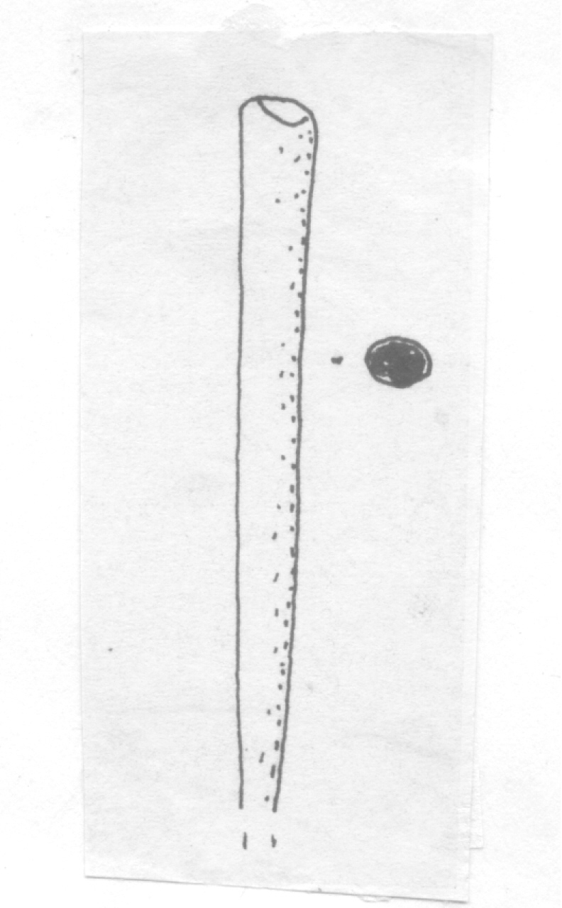 spillone - Facies Terramara (Età del bronzo)