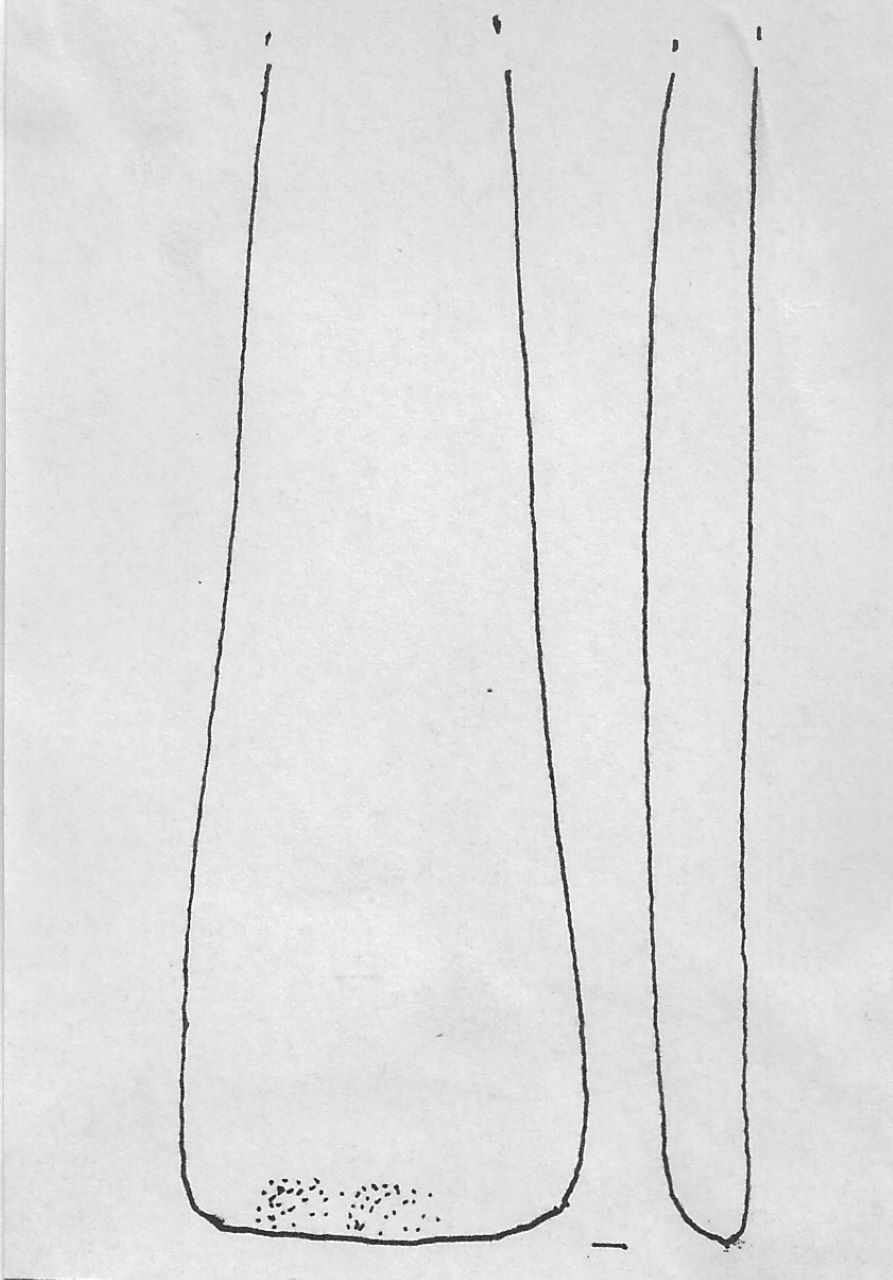 affilatoio - Facies Terramara (Tardo Minoico I-II)