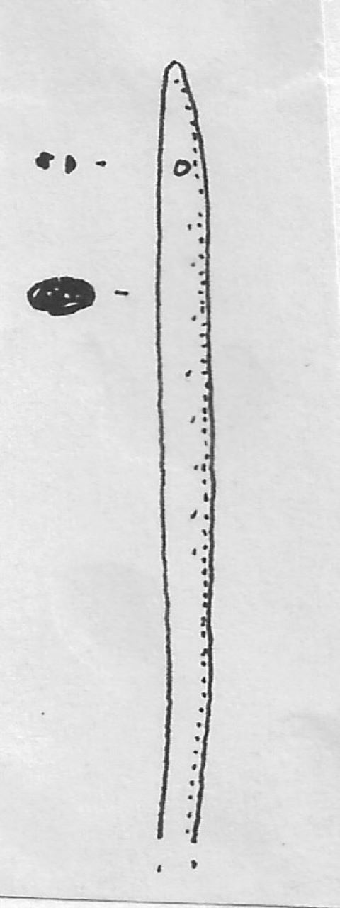 ago - Facies Terramara (Tardo Minoico II)