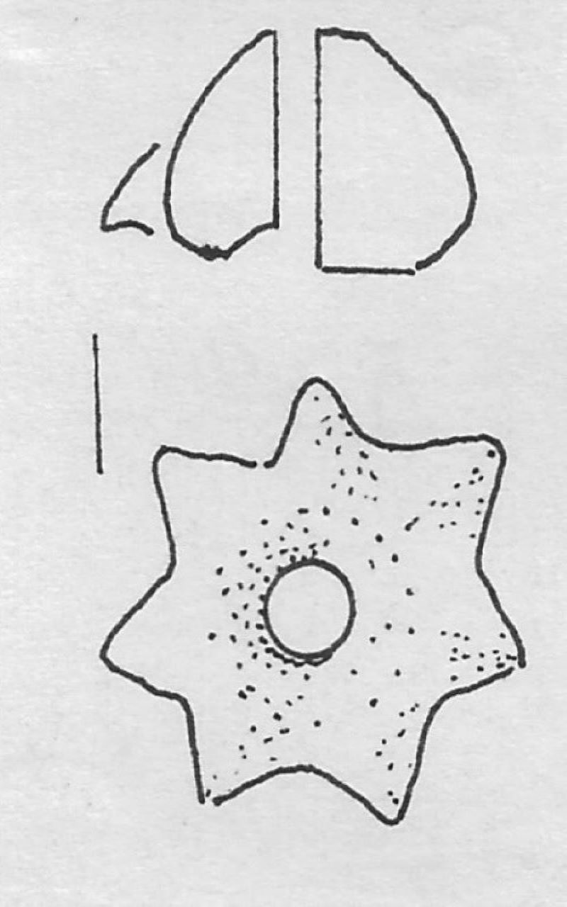 fuseruola - Facies Terramara (Tardo Minoico I)