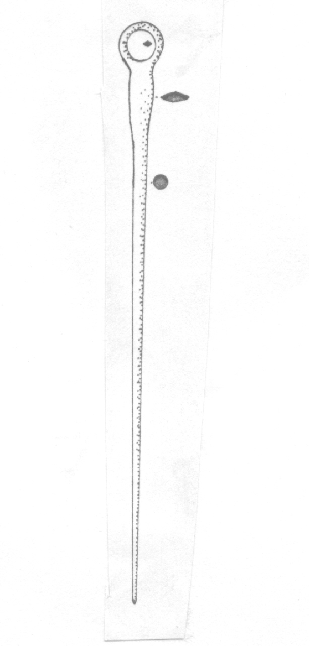 ago - Facies Terramara (Età del bronzo)