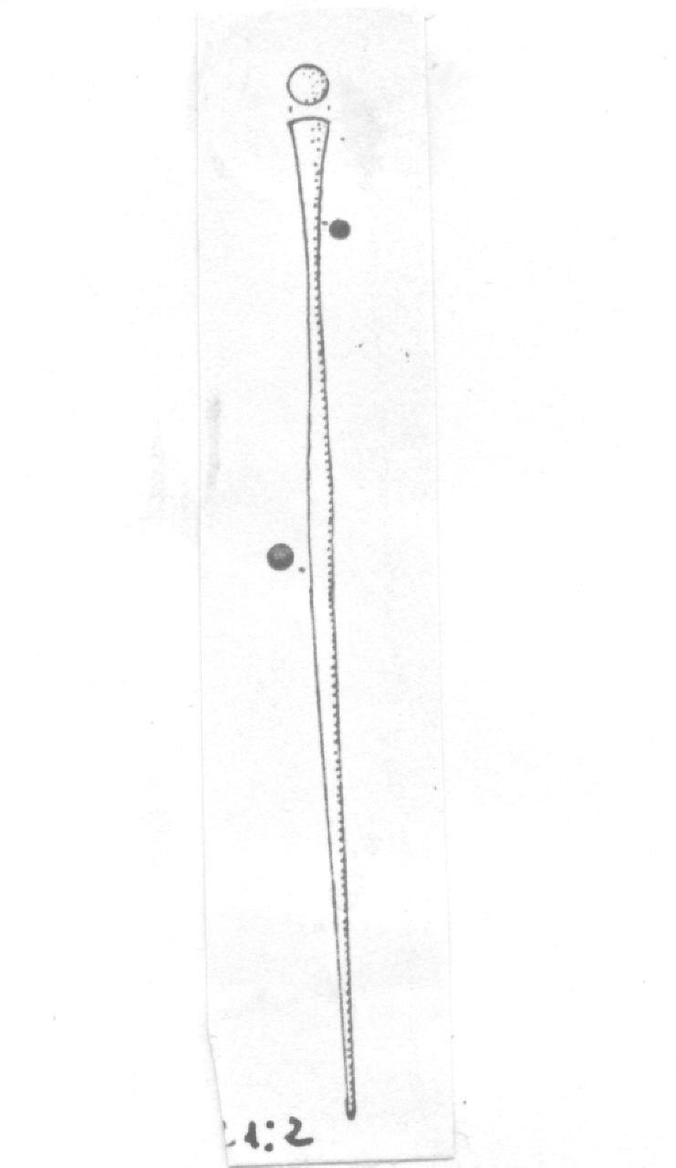 spillone - Facies Terramara (Età del bronzo)