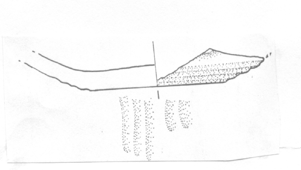 scodella/ fondo - Facies Terramara (Età del Bronzo recente)