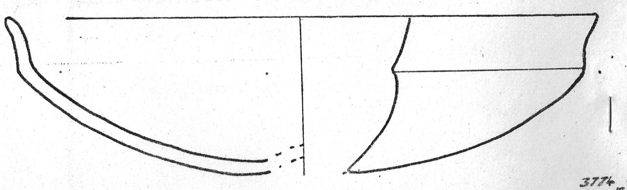 tazza - Facies Terramaricola (Età del Bronzo medio)