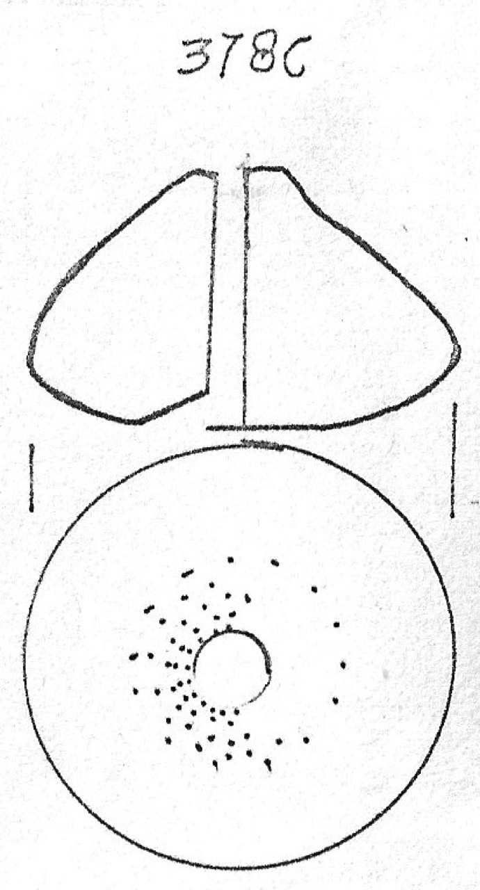 fusaiola - Facies Terramaricola (Età del bronzo)