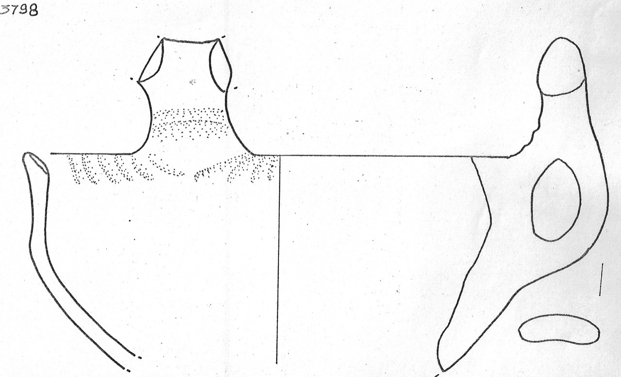 tazza - Facies Terramaricola (Età del Bronzo medio)