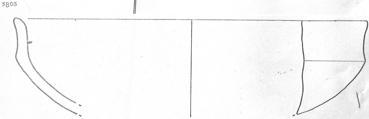 tazza - Facies Terramaricola (Età del Bronzo medio)