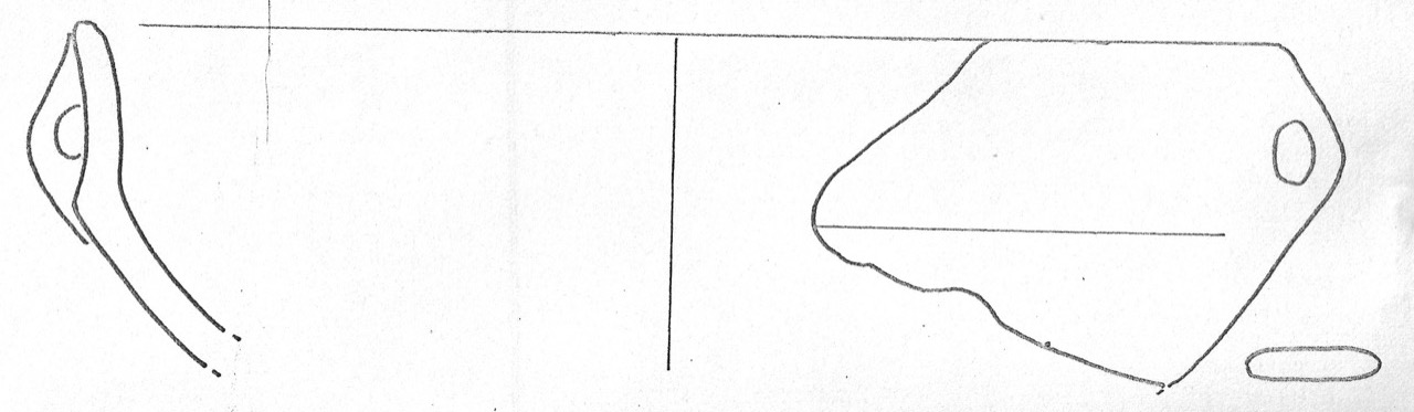 tazza - Facies Terramaricola (Età del Bronzo medio)