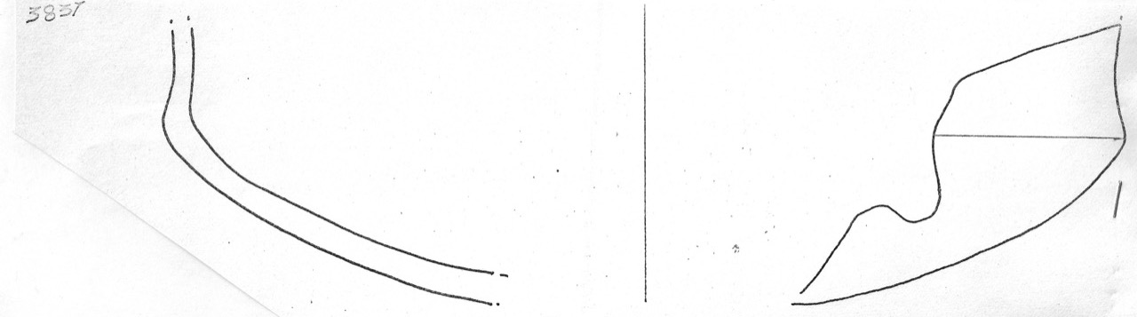 tazza - Facies Terramaricola (Età del Bronzo medio)