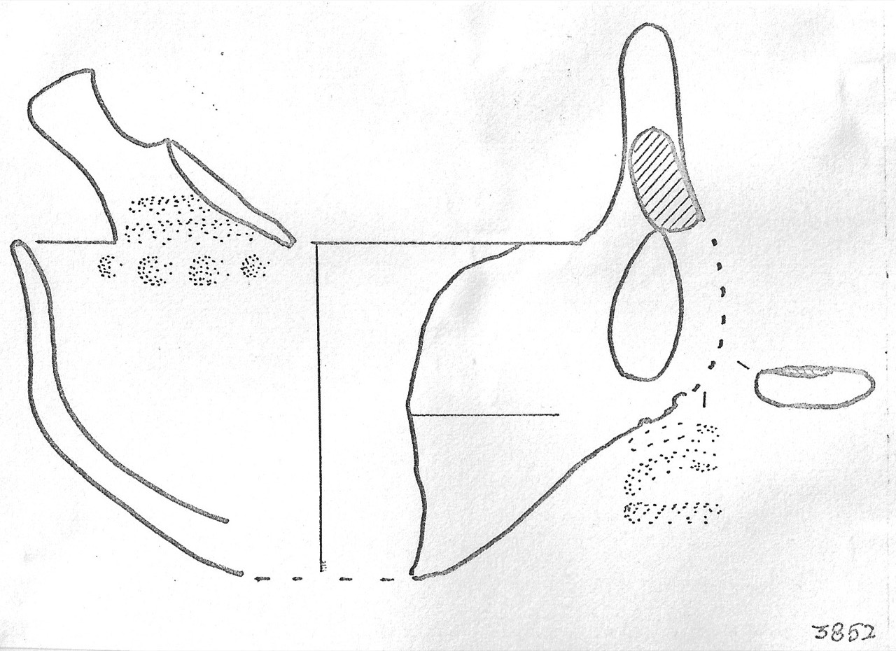 tazzina - Facies Terramaricola (Età del bronzo)