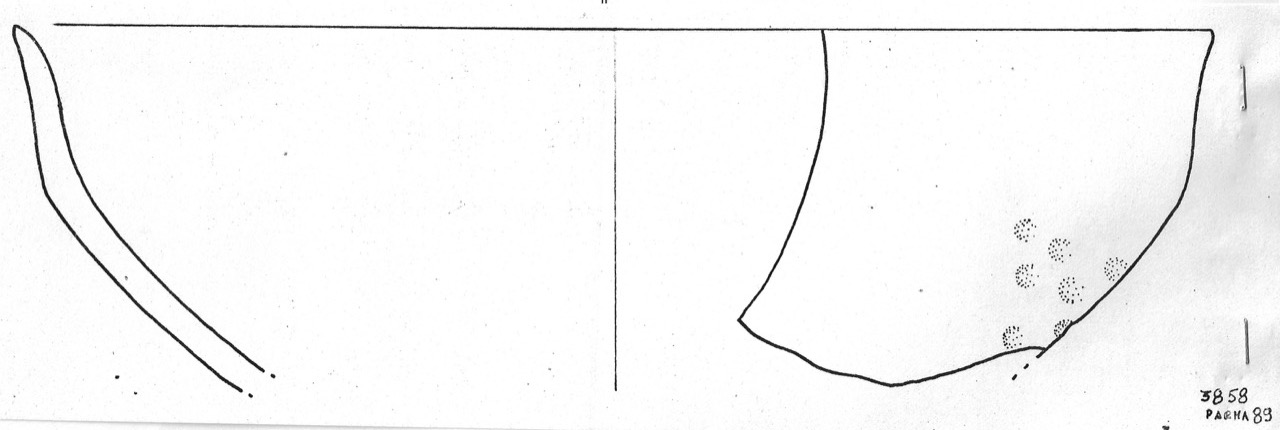 tazza - Facies Terramaricola (Età del Bronzo medio)