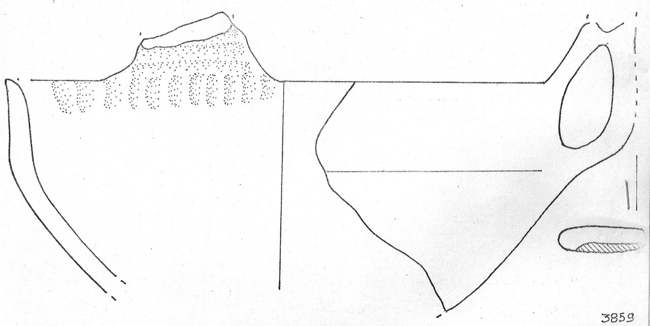 tazza - Facies Terramaricola (Età del bronzo)