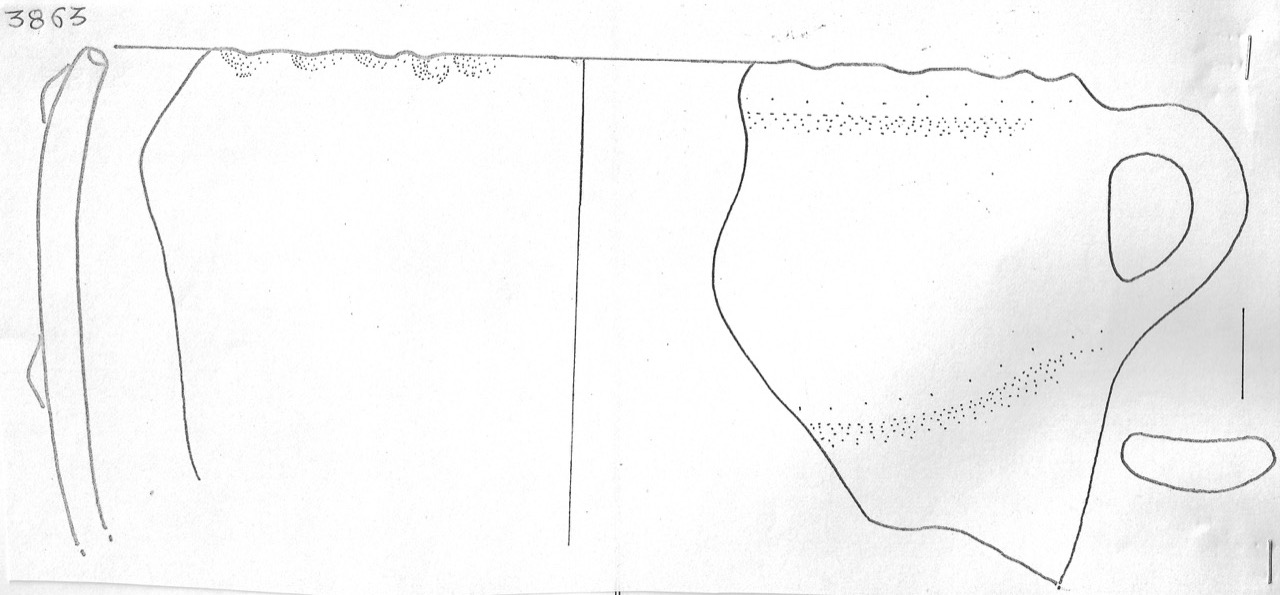 tazza - Facies Terramaricola (Età del Bronzo finale)