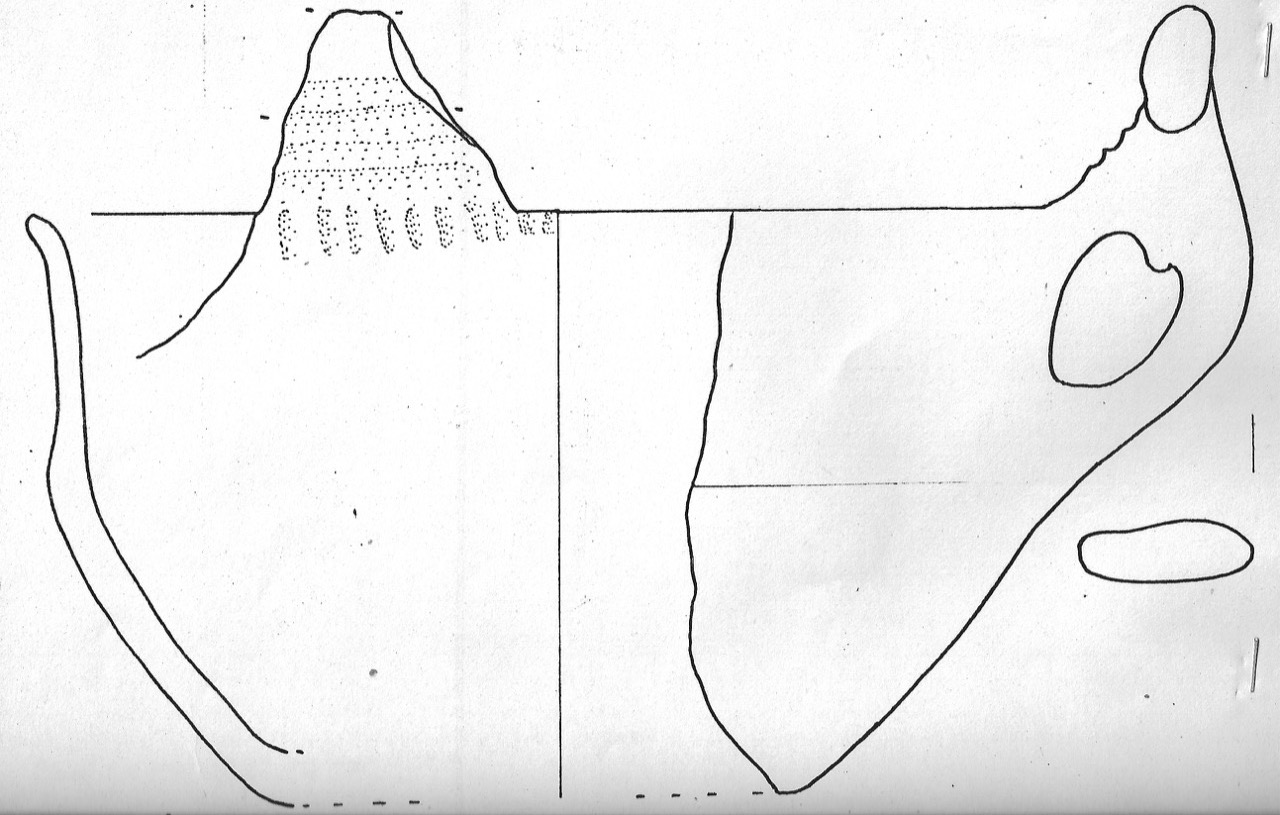 tazza - Facies Terramaricola (Età del bronzo)