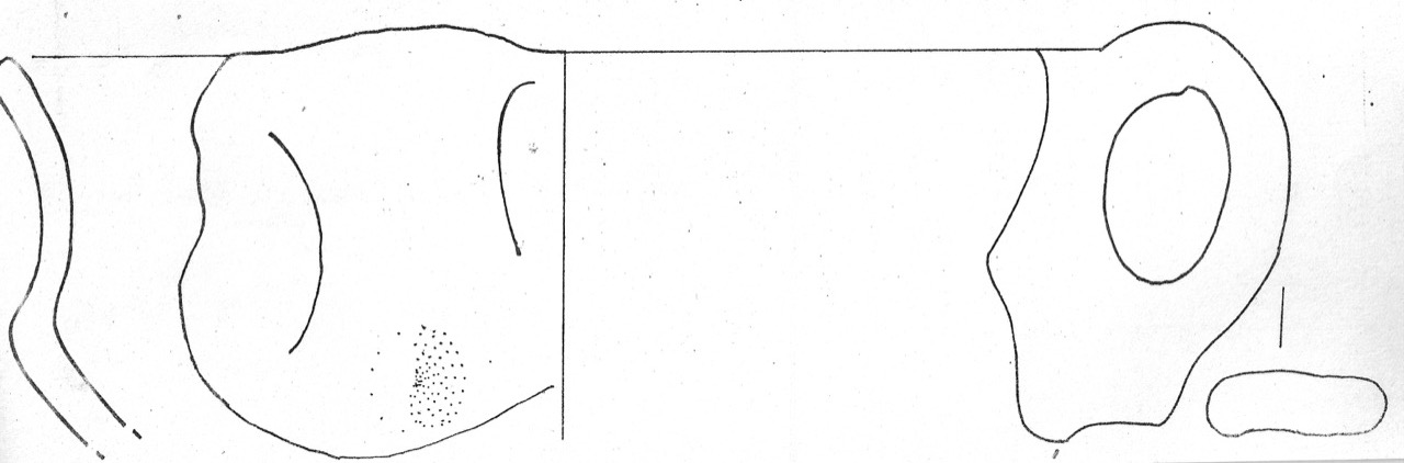 tazza - Facies Terramaricola (Età del bronzo)