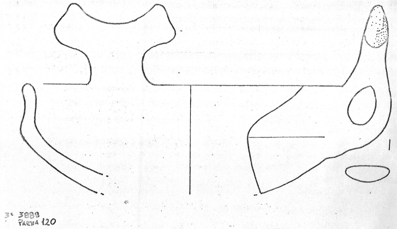 tazza - Facies Terramaricola (Età del bronzo)