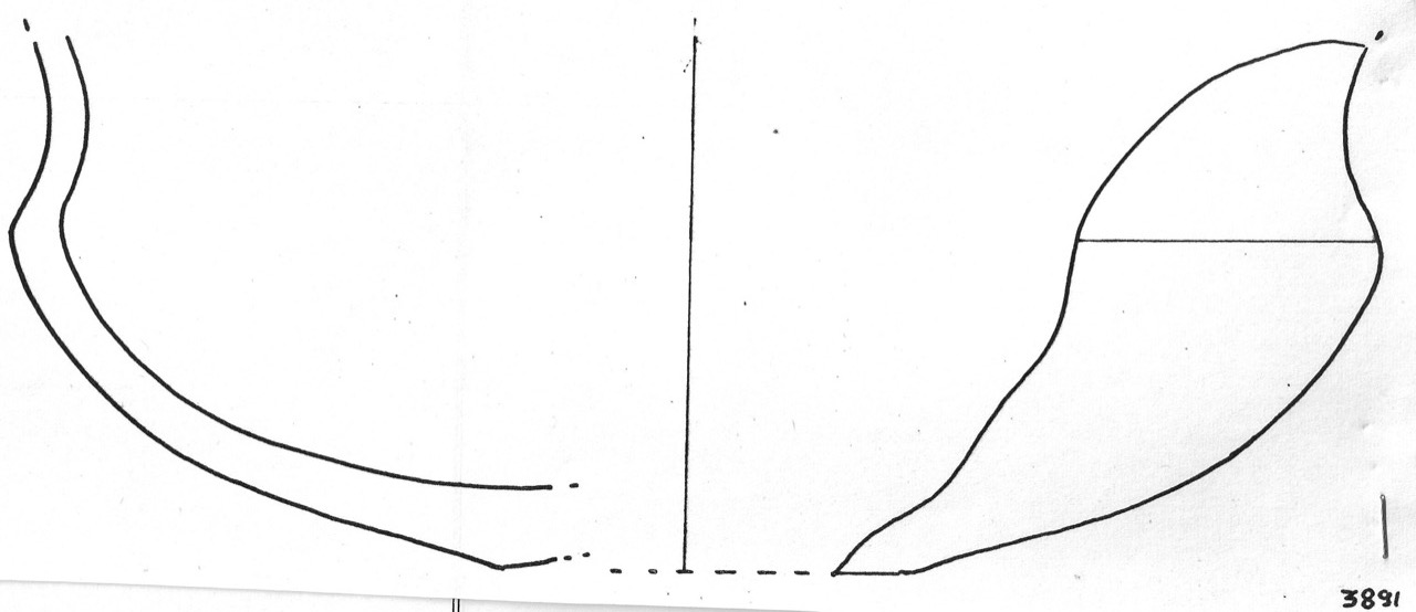 tazza - Facies Terramaricola (Età del bronzo)