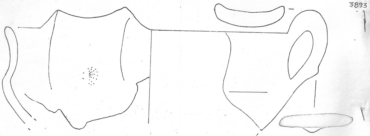 tazza - Facies Terramaricola (Età del Bronzo finale)