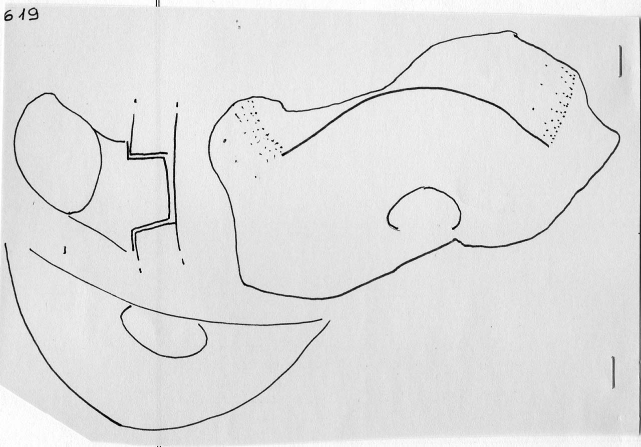 vaso/ ansa - Facies Terramara (Tardo Minoico II)