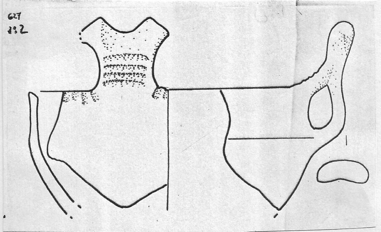 tazza - Facies Terramara (Tardo Minoico I)
