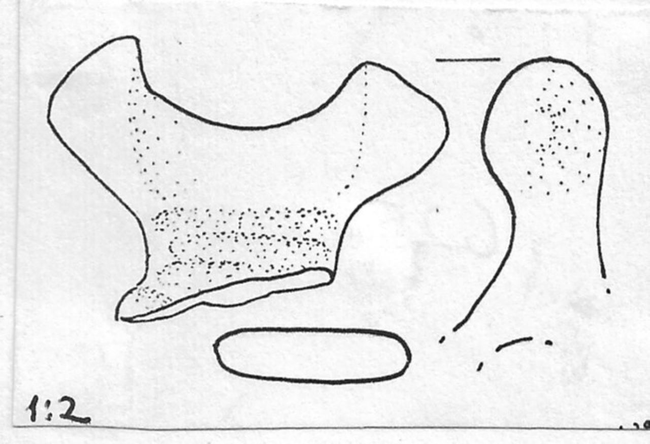 ansa - Facies Terramara (Tardo Minoico I)
