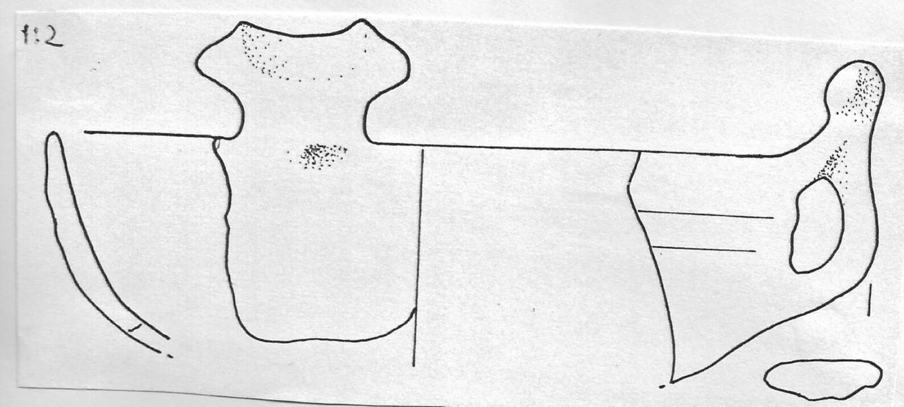 tazza - Facies Terramara (Tardo Minoico I)