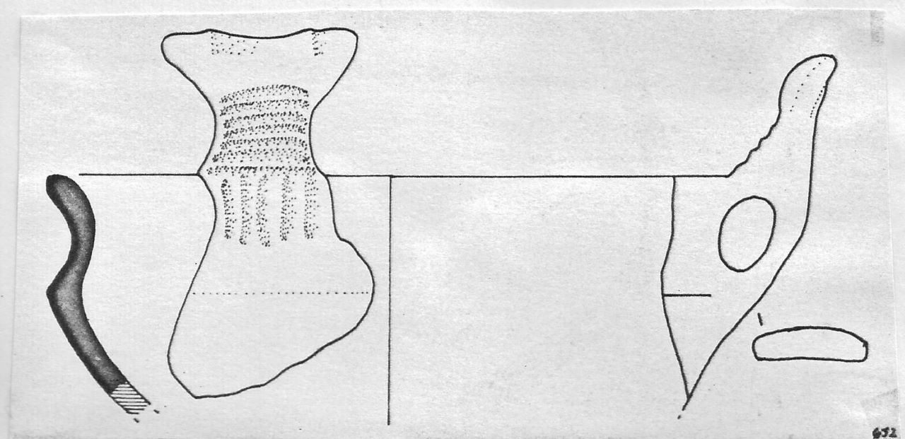 tazza - Facies Terramara (Tardo Minoico I)
