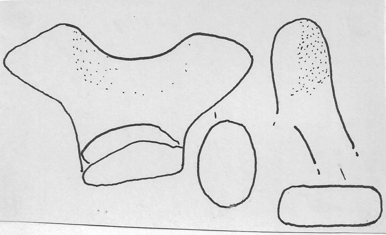 ansa - Facies Terramara (Tardo Minoico I)
