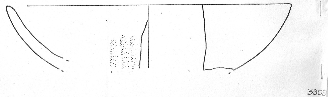 tazza - Facies Terramaricola (Età del Bronzo medio)