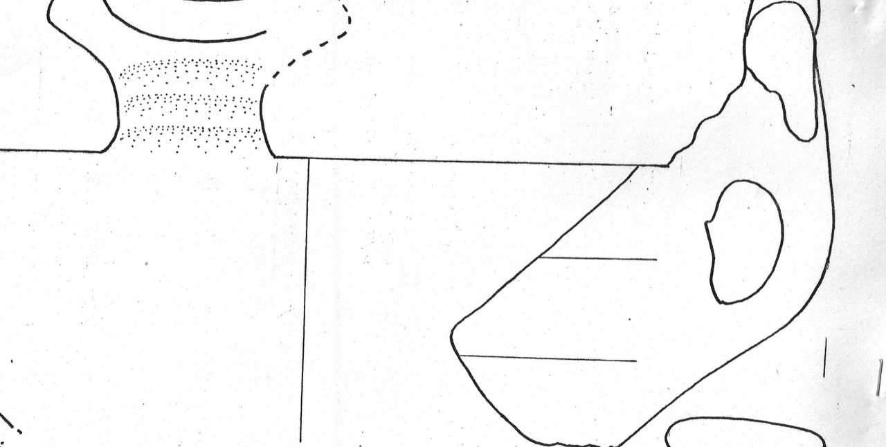 tazza - Facies Terramaricola (Età del Bronzo medio)