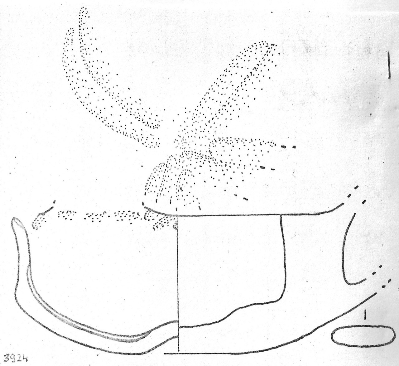 tazzina - Facies Terramaricola (Età del Bronzo medio)