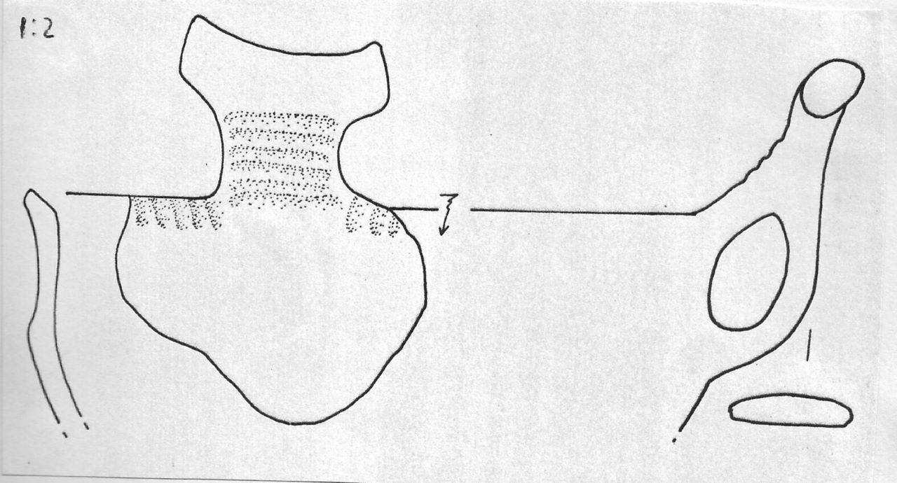 tazza - Facies Terramara (Tardo Minoico I)