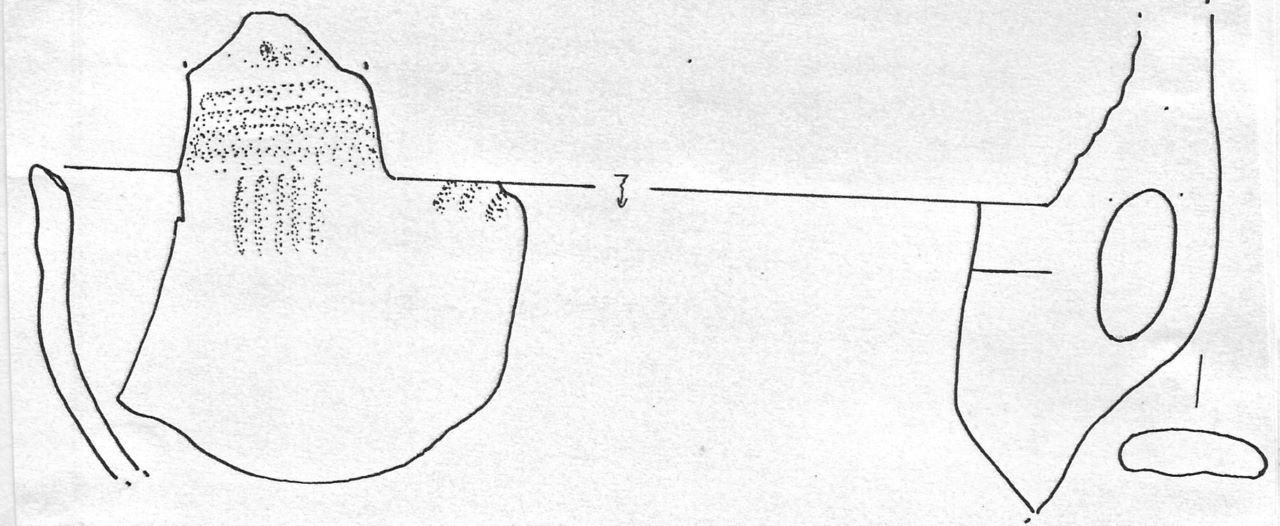 tazza carenata - Facies Terramara (Tardo Minoico I-II)