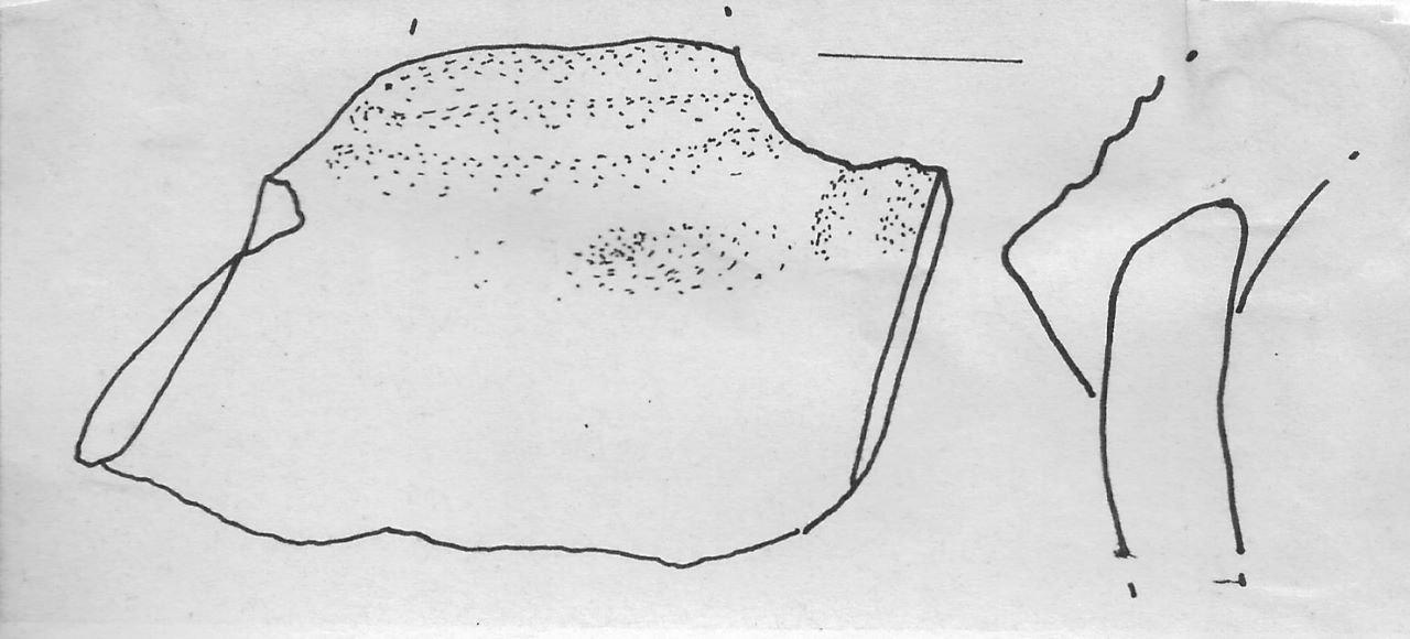 tazza carenata - Facies Terramara (Tardo Minoico I-II)