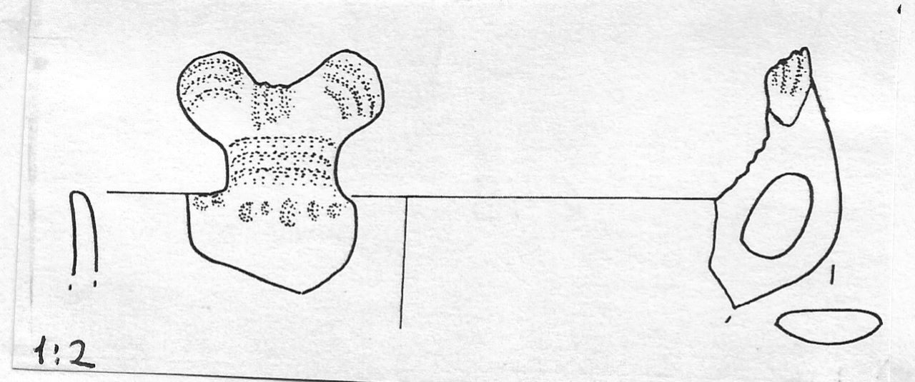 tazza - Facies Terramara (Tardo Minoico I)