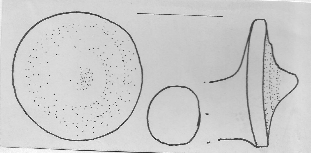 ansa con bastoncello - Facies Terramara (Tardo Minoico I)