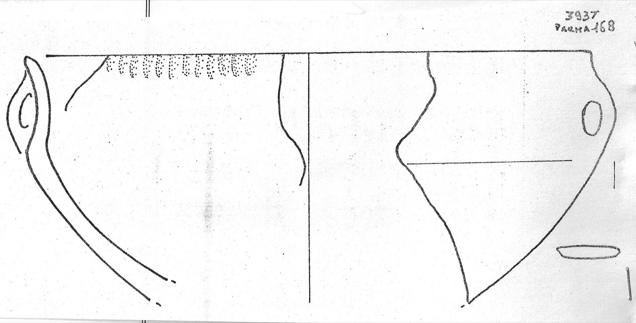 tazza - Facies Terramaricola (Età del Bronzo medio)