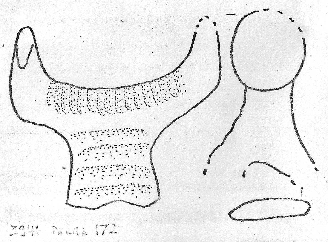 ansa - Facies Terramaricola (Età del bronzo)