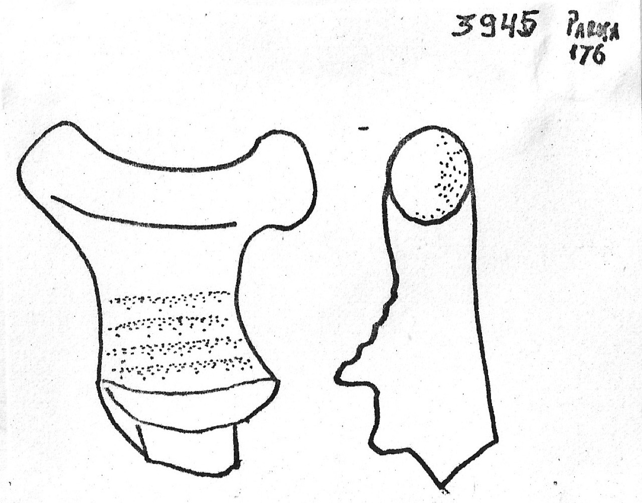 ansa - Facies Terramaricola (Età del Bronzo medio)
