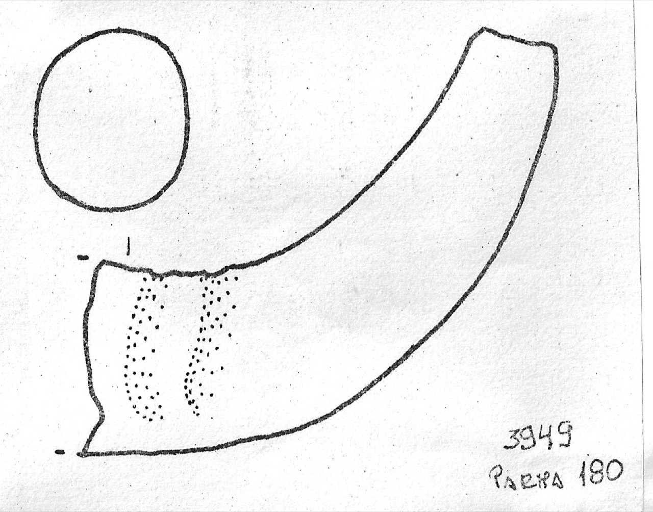 ansa - Facies Terramaricola (Età del bronzo)