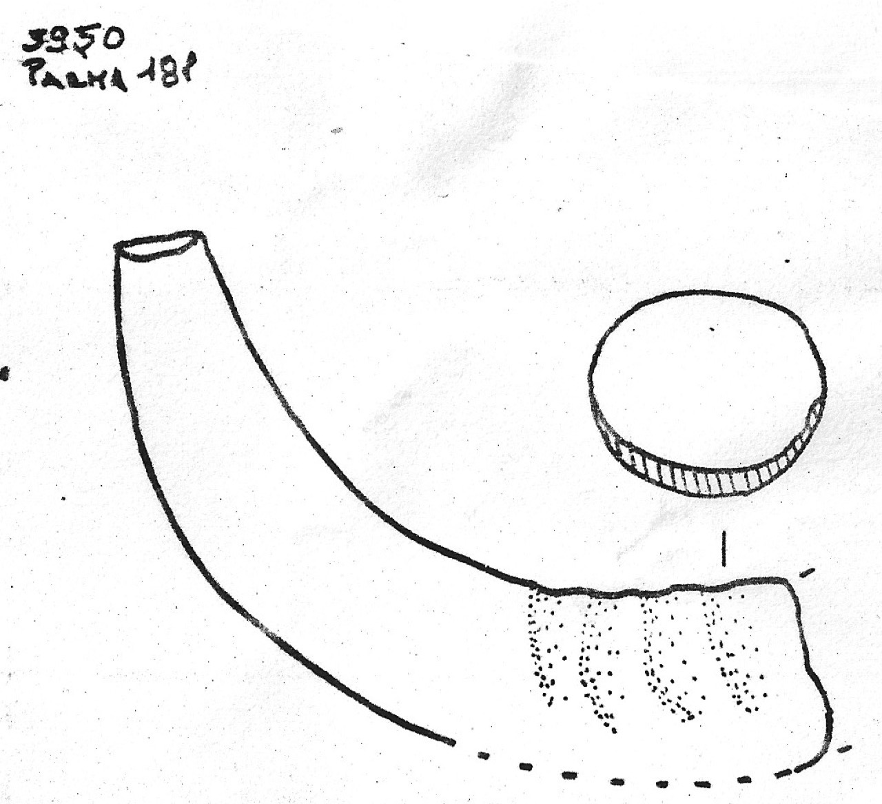 ansa - Facies Terramaricola (Età del bronzo)
