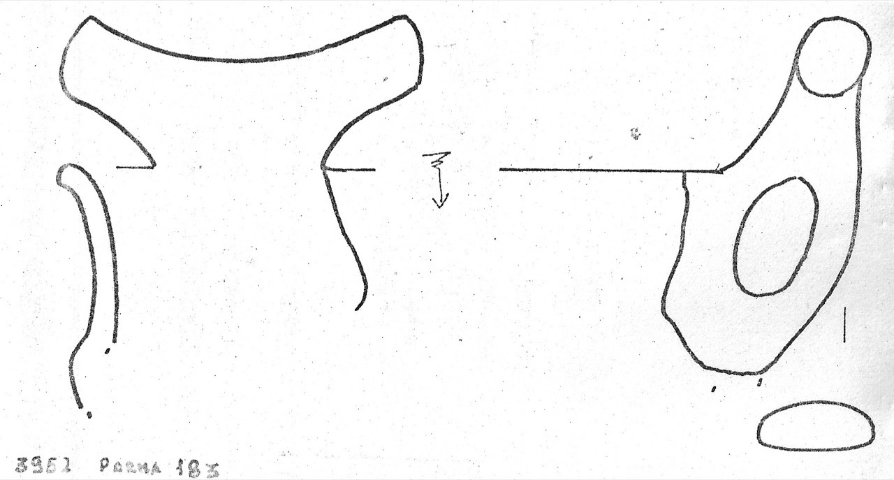 tazza - Facies Terramaricola (Età del Bronzo medio)