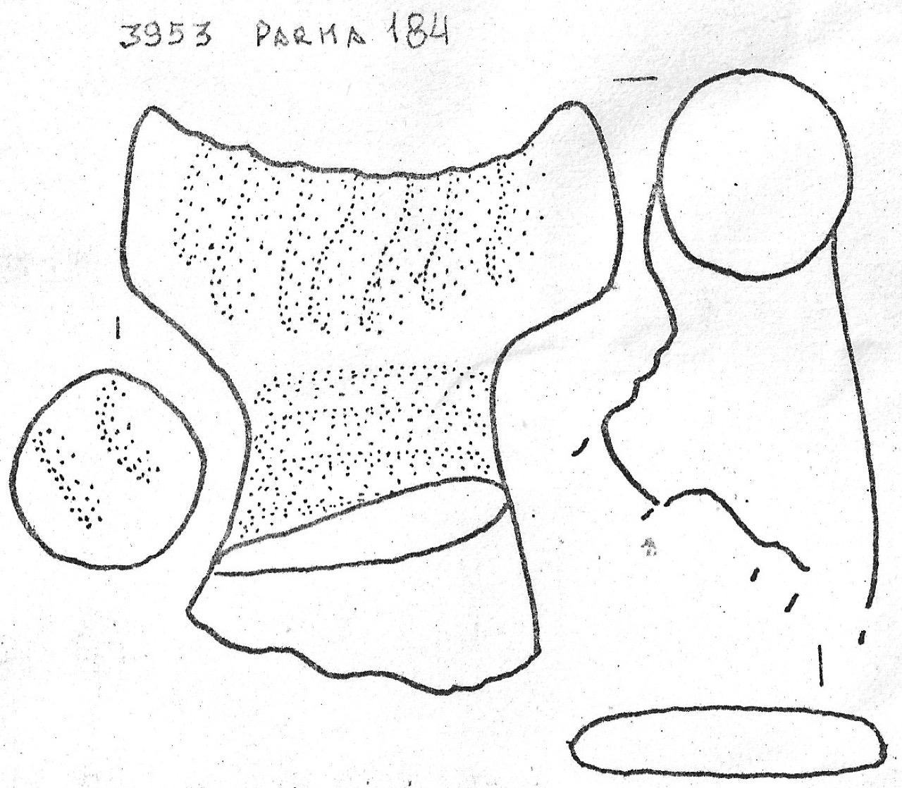 ansa - Facies Terramaricola (Età del bronzo)