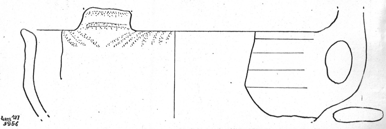 tazza - Facies Terramaricola (Età del Bronzo medio)