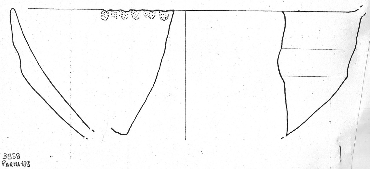 tazza - Facies Terramaricola (Età del bronzo)