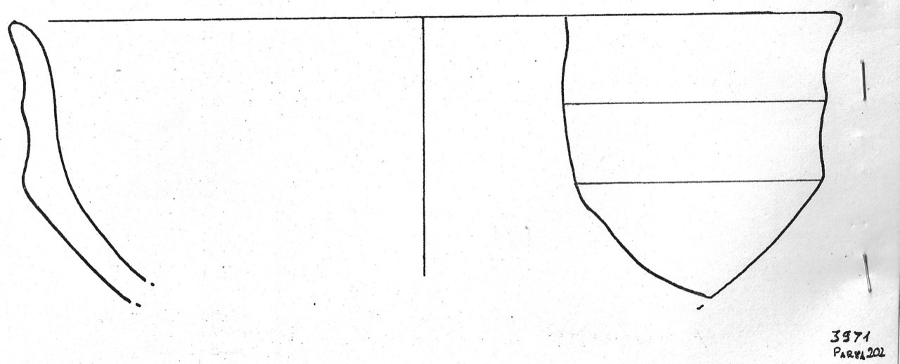 tazza - Facies Terramaricola (Età del Bronzo medio)