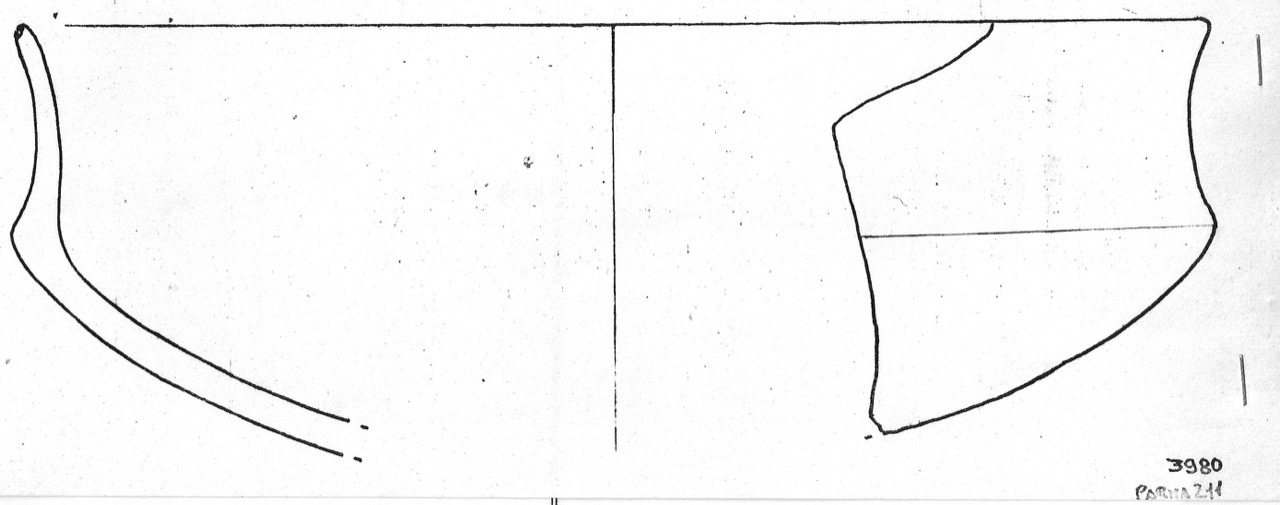 tazza - Facies Terramaricola (Età del Bronzo medio)