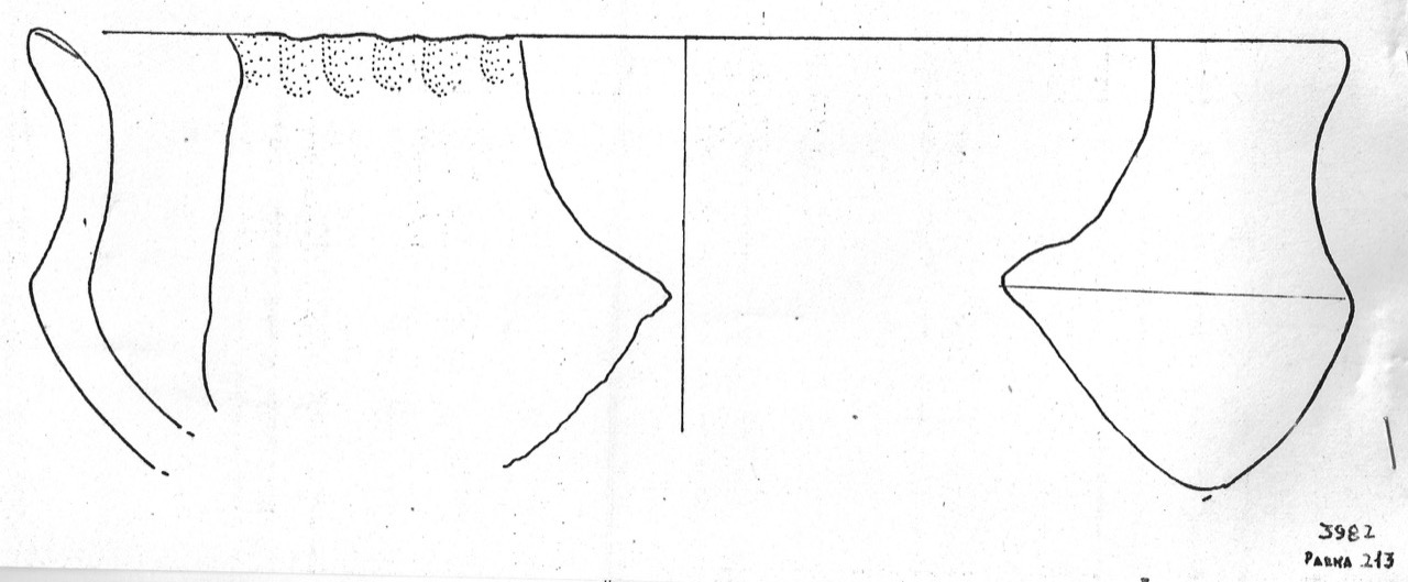 tazza - Facies Terramaricola (Età del bronzo)
